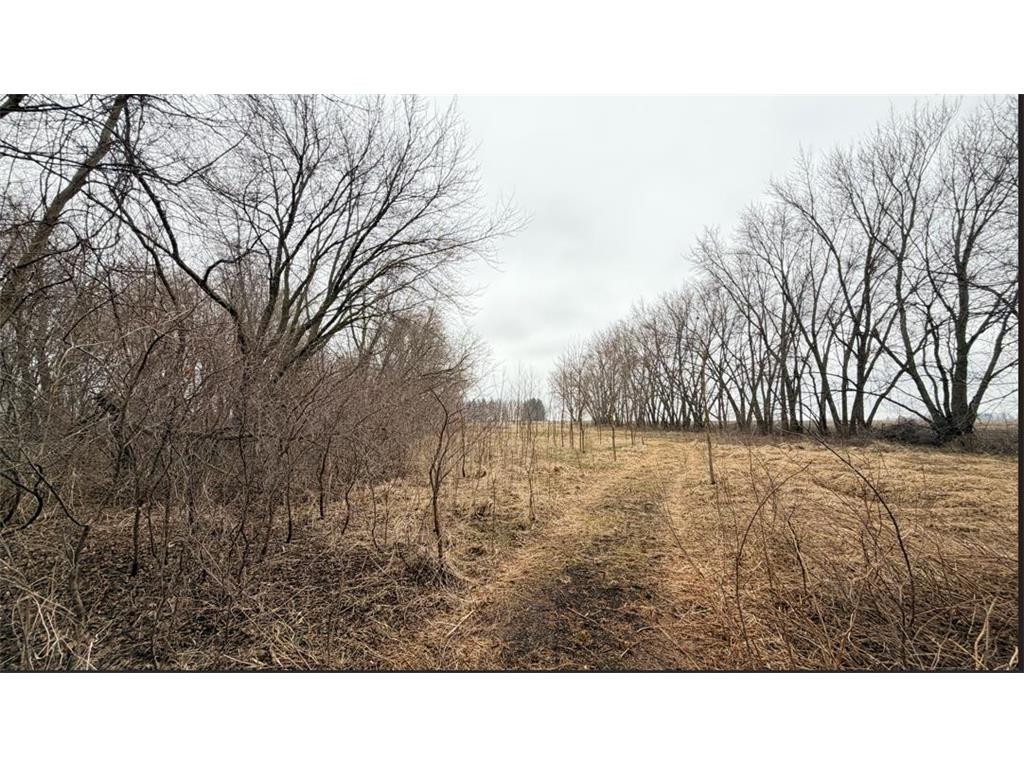 52377 120th Avenue Ellington Twp MN 55985 7053488 image9