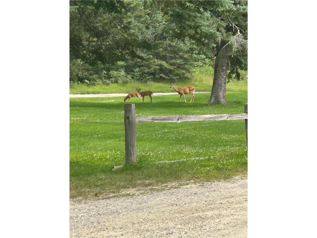 52395 County Road 31 Wirt MN 56688 - Clear Lake 6819997 image30