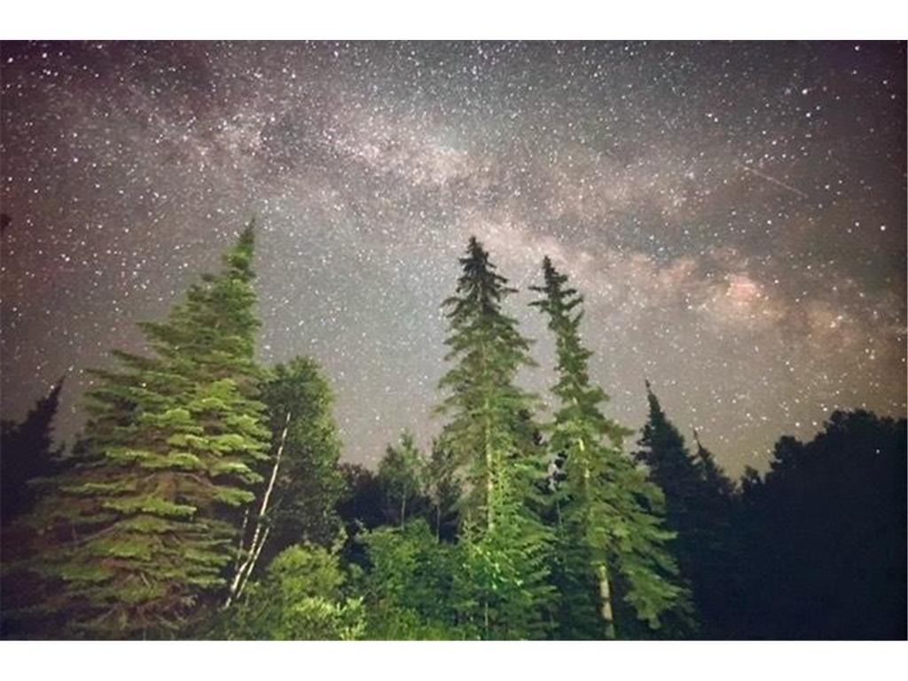 52395 County Road 31 Wirt MN 56688 - Clear Lake 6819997 image49