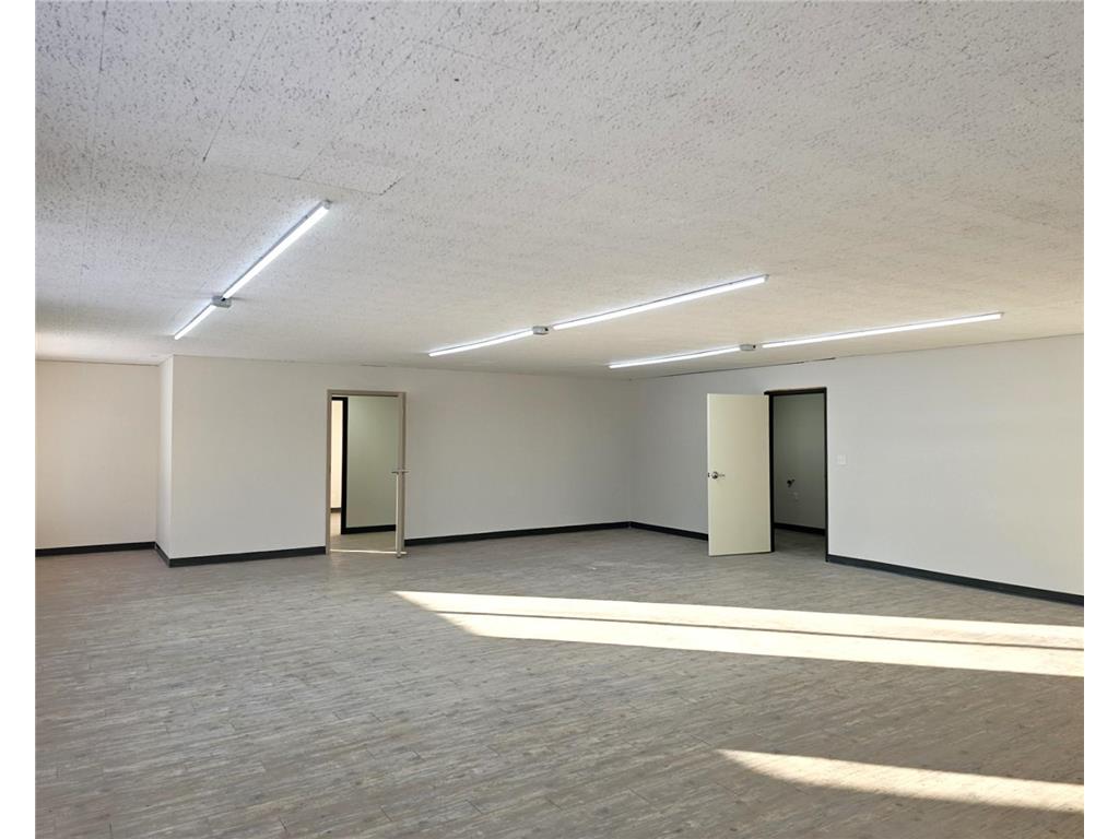 524 Willow Drive Alexandria MN 56308 6671598 image4