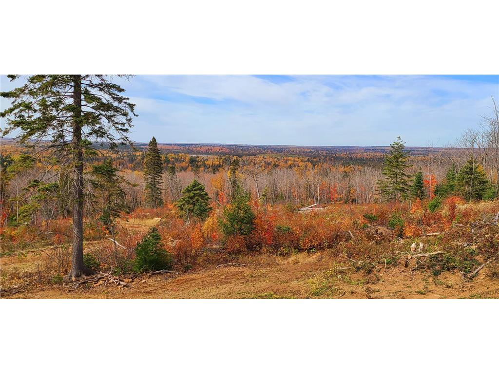 5241 Hut Two Road Crystal Bay Twp MN 55603 6686315 image17