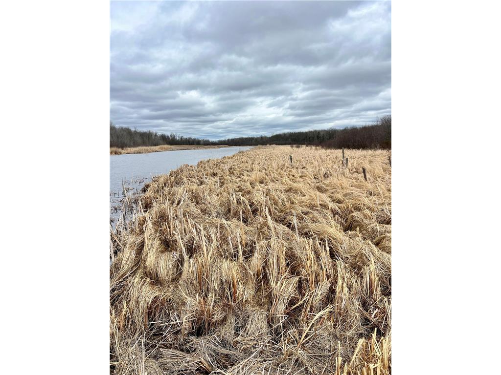 52468 County Rd 29 Wirt Twp MN 56688 - Big Fork River 6811468 image23