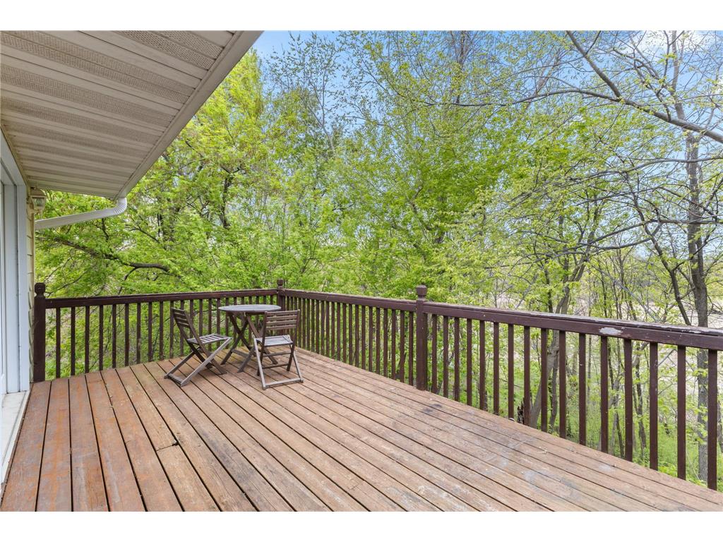 525 County Road 12 S Marysville Twp MN 55313 7069299 image39