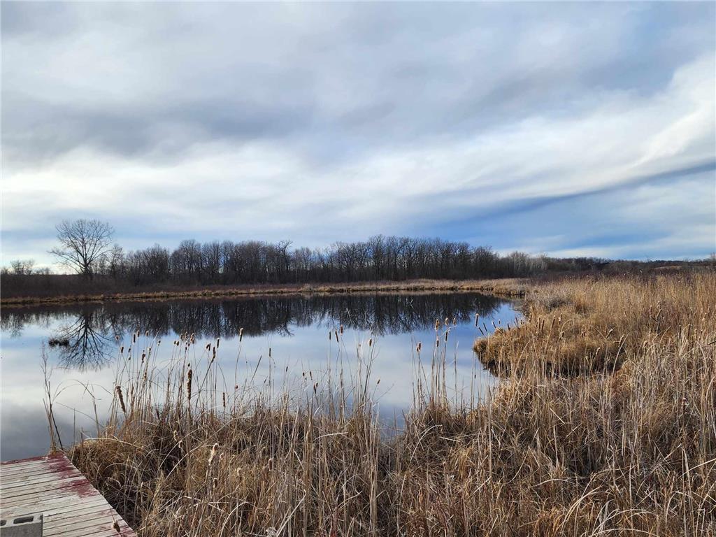 52650 Beech Avenue Nessel Twp MN 55006 - West Rush 6500205 image1