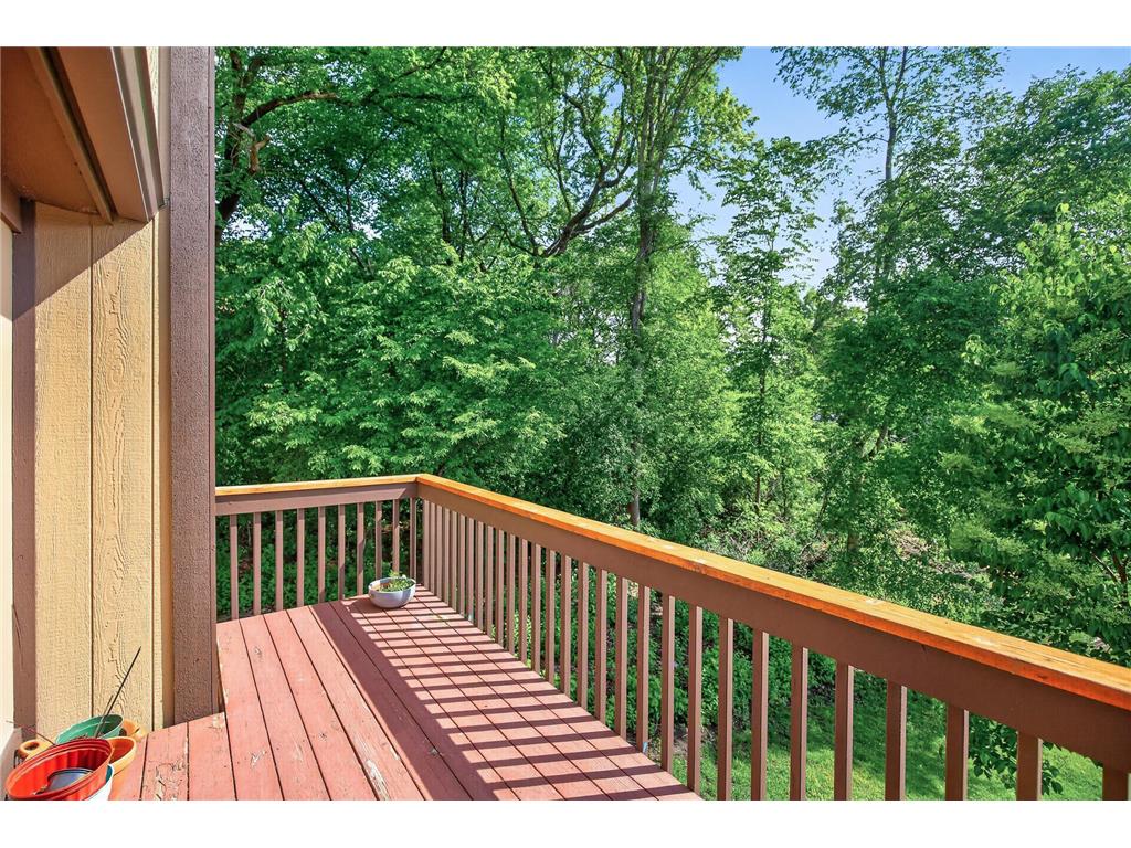 5267 Balmoral Lane Bloomington MN 55437 7080139 image34