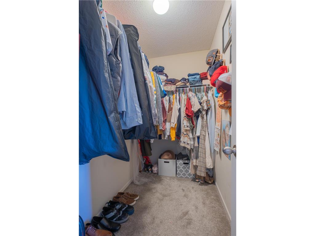 527 Summit Lane Dundas MN 55019 7099011 image18