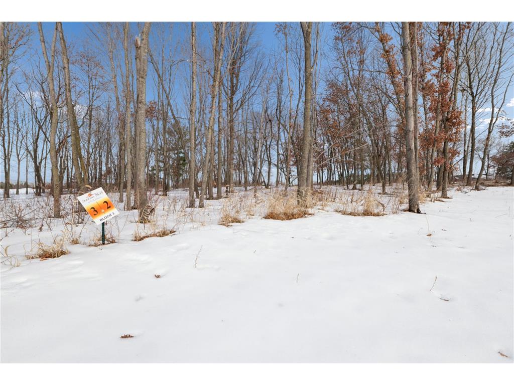 5270 389th Trail North Branch MN 55056 7018049 image11