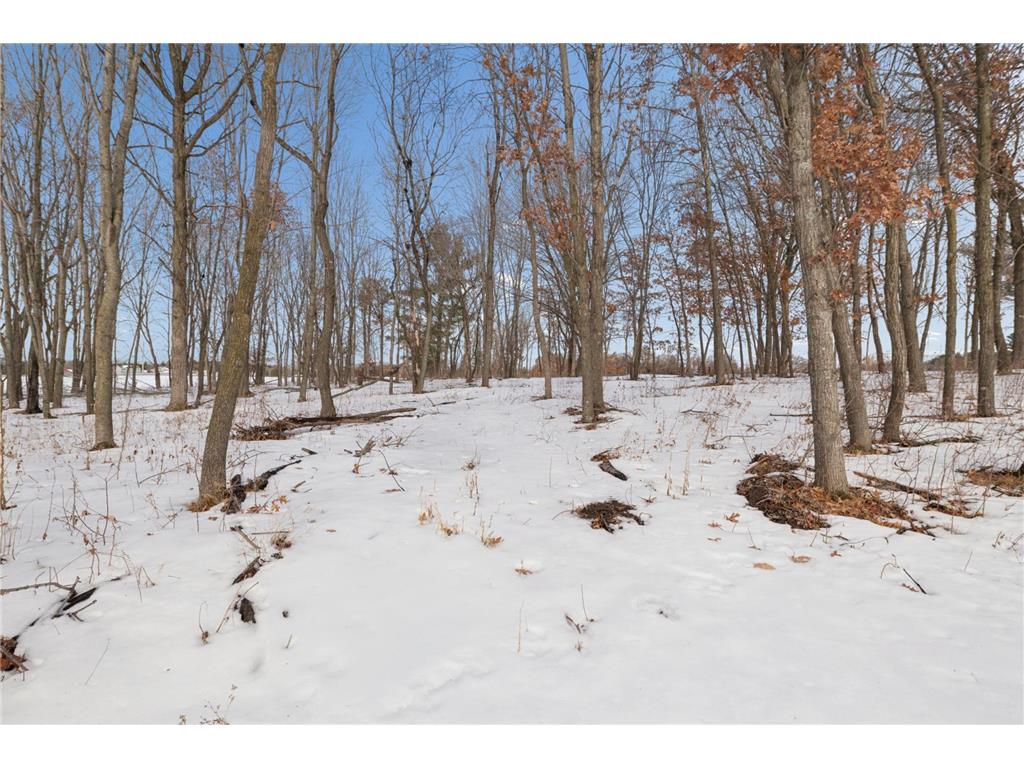 5270 389th Trail North Branch MN 55056 7018049 image12