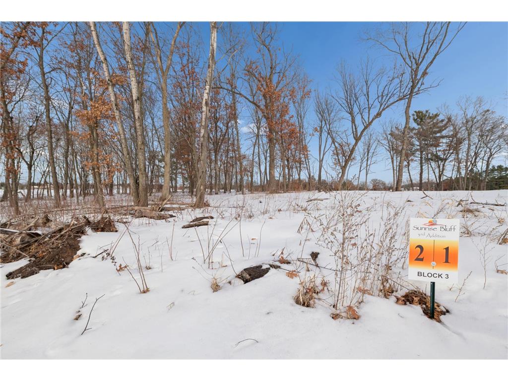 5270 389th Trail North Branch MN 55056 7018049 image13