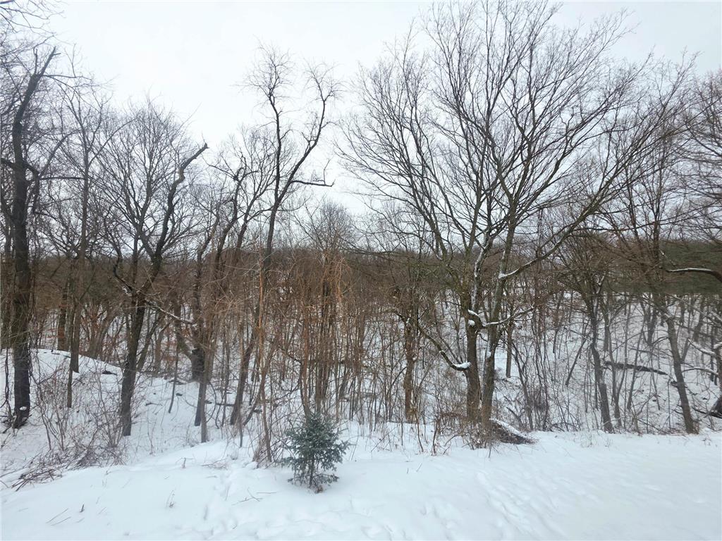 52765 409th Avenue Belgrade Twp MN 56003 6802846 image35