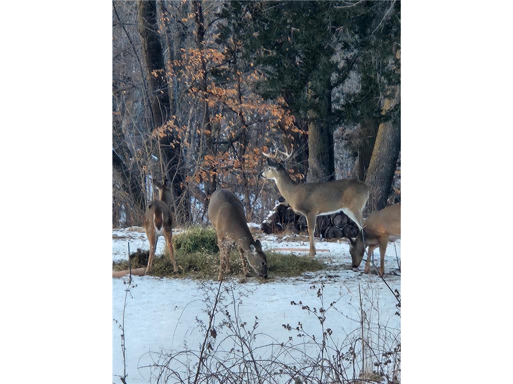 52765 409th Avenue Belgrade Twp MN 56003 6802846 image41