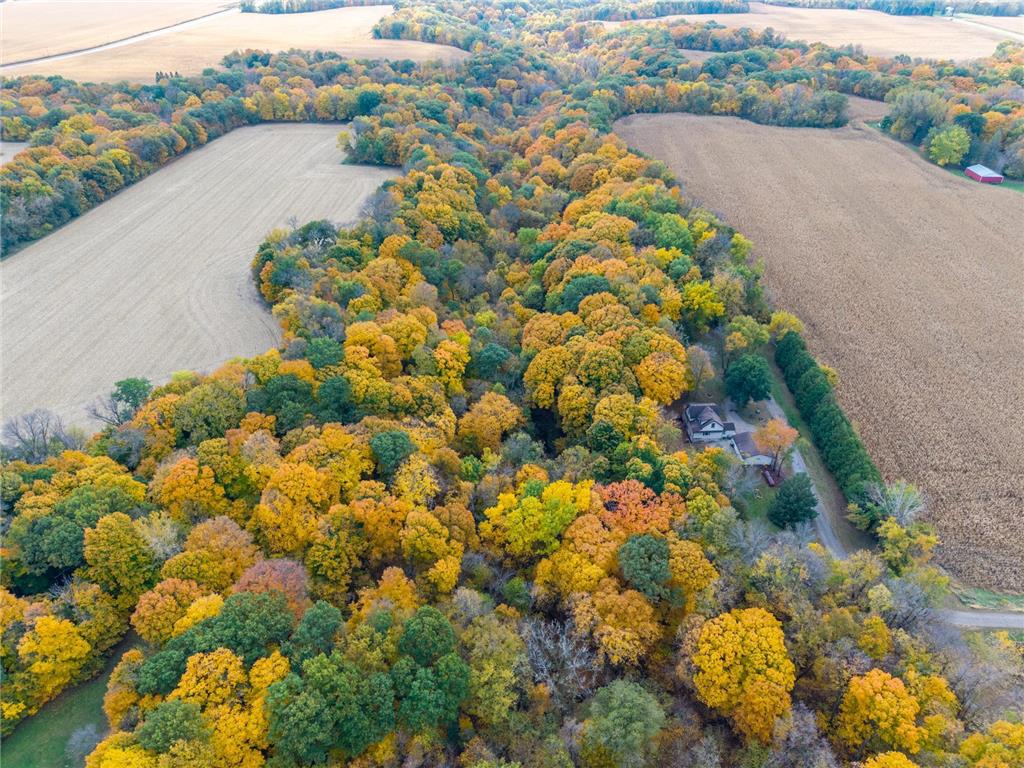 52765 409th Avenue Belgrade Twp MN 56003 6802846 image48