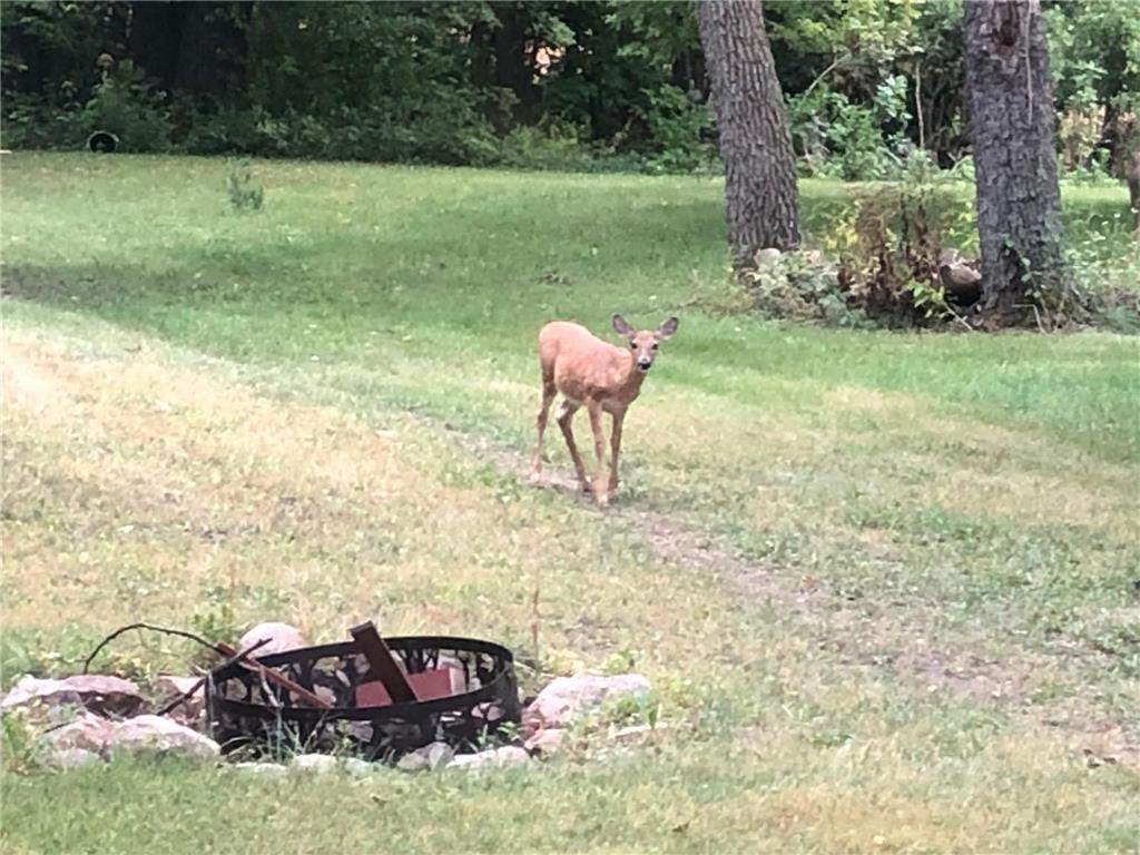 52765 409th Avenue Belgrade Twp MN 56003 6802846 image51