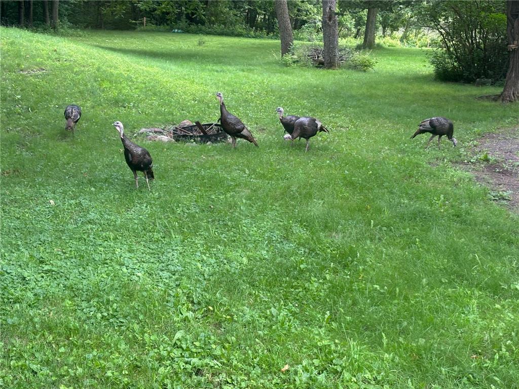 52765 409th Avenue Belgrade Twp MN 56003 6802846 image52