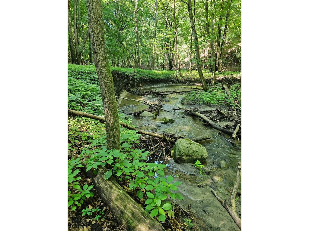 52765 409th Avenue Belgrade Twp MN 56003 6802846 image53