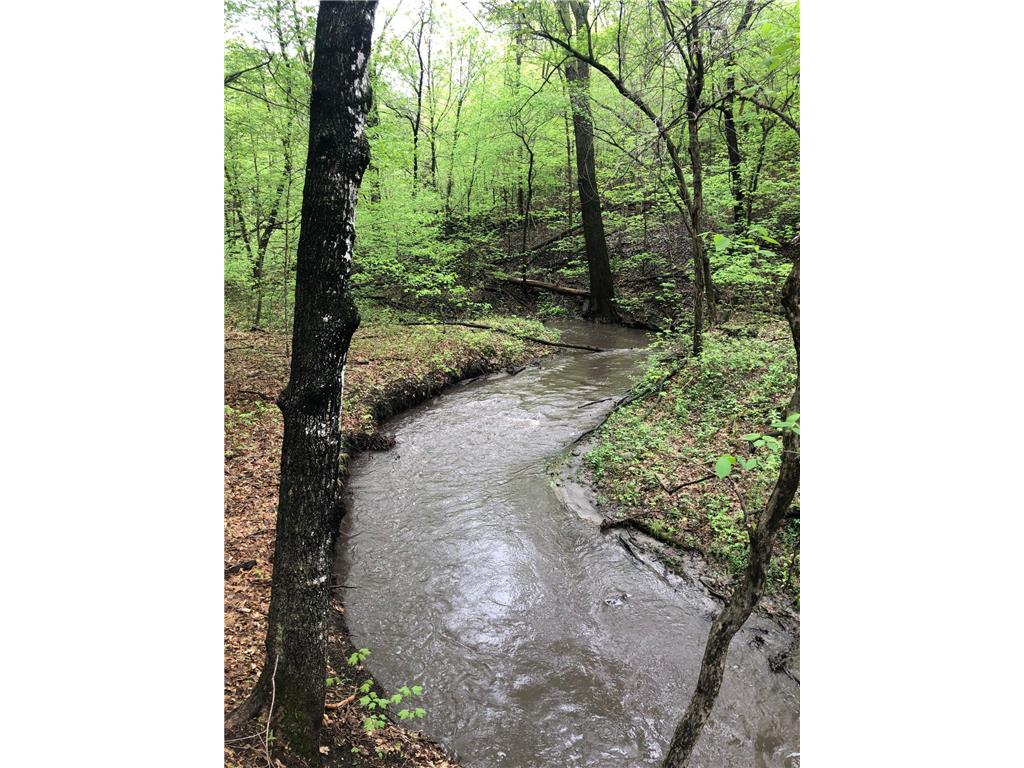 52765 409th Avenue Belgrade Twp MN 56003 6802846 image54