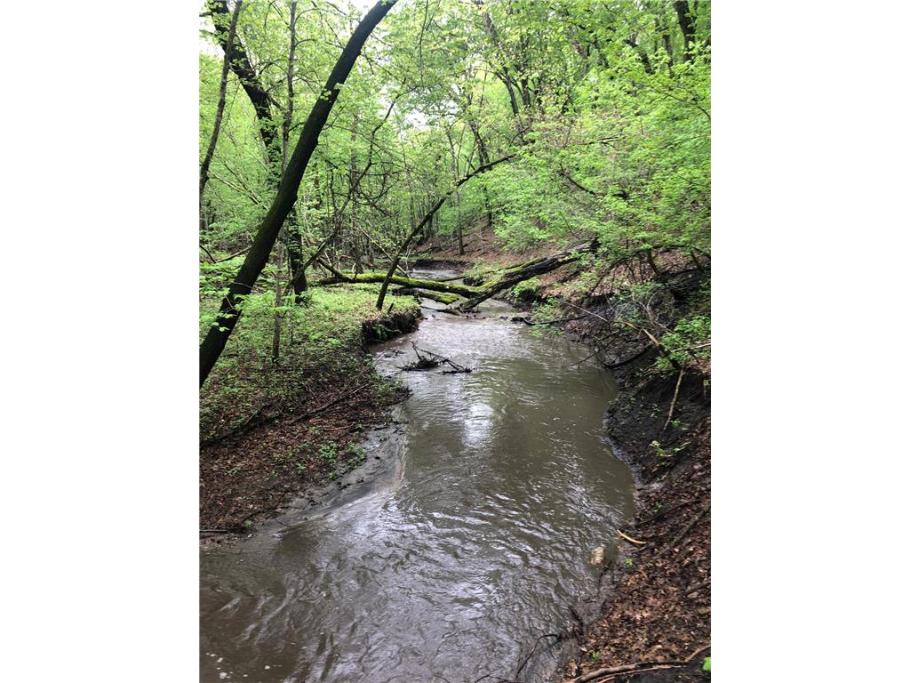 52765 409th Avenue Belgrade Twp MN 56003 6802846 image55