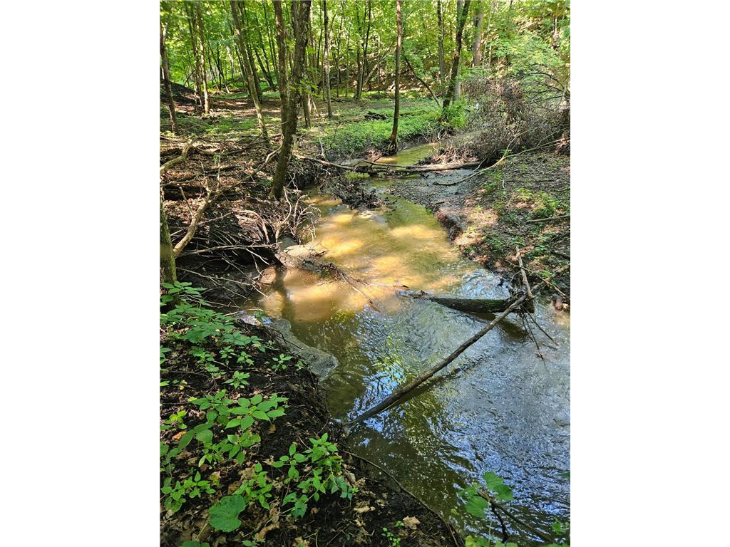 52765 409th Avenue Belgrade Twp MN 56003 6802846 image56