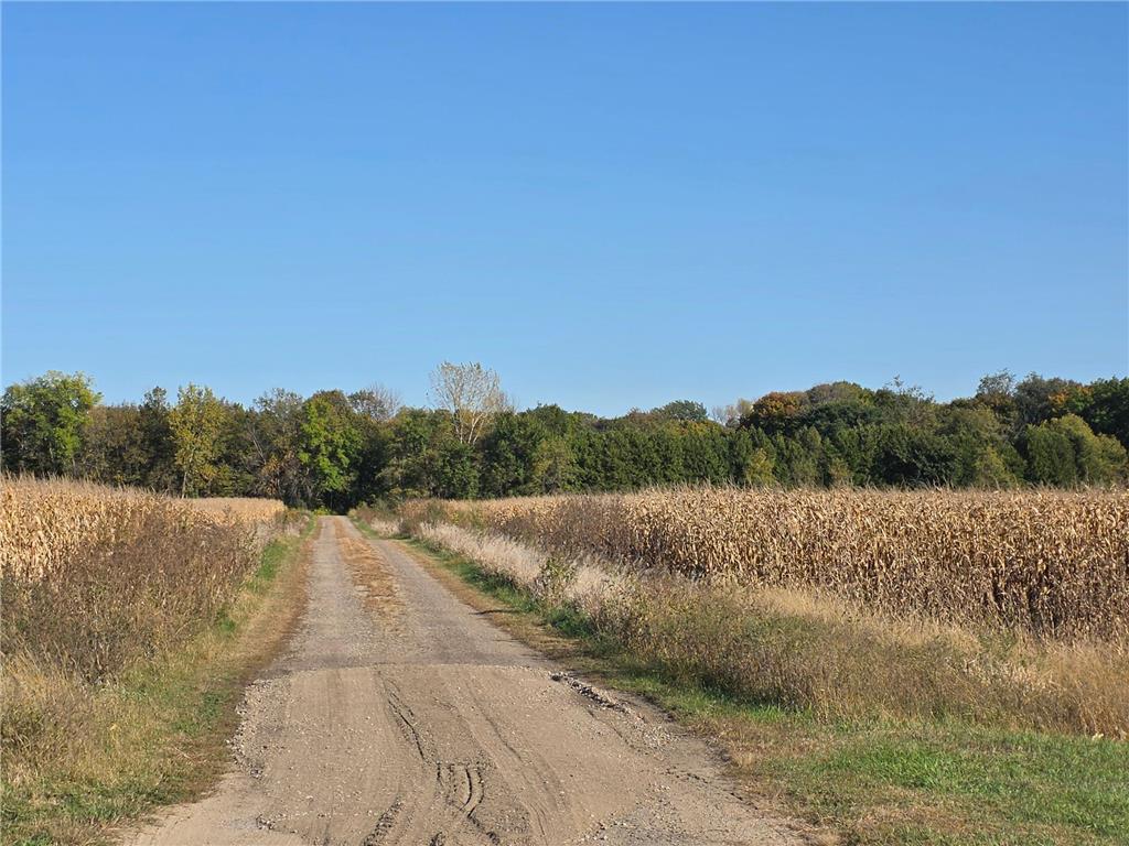 52765 409th Avenue Belgrade Twp MN 56003 6802846 image57