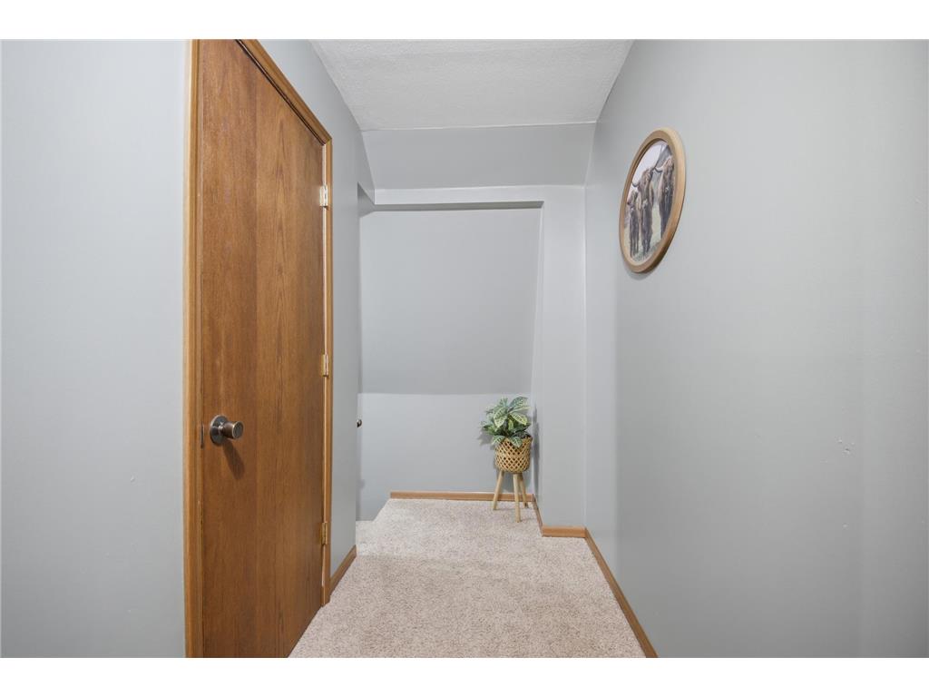 5278 SE 24th Avenue Owatonna MN 55060 7081156 image19