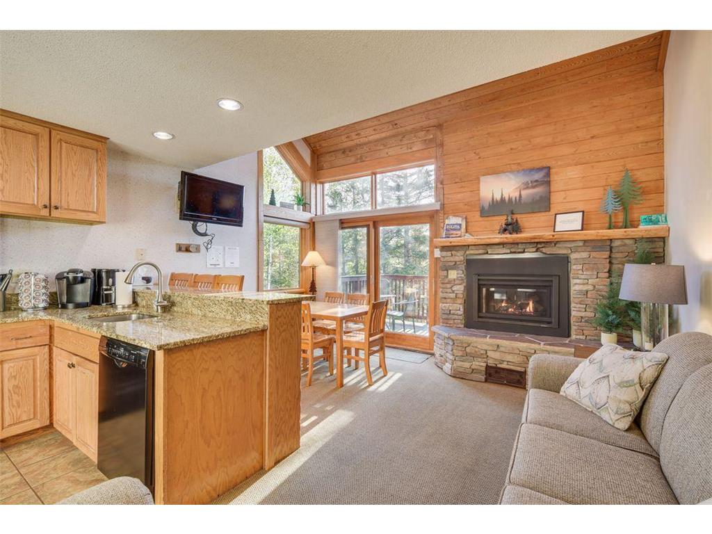 528 Moose Mountain Drive Lutsen Twp MN 55615 6627969 image1