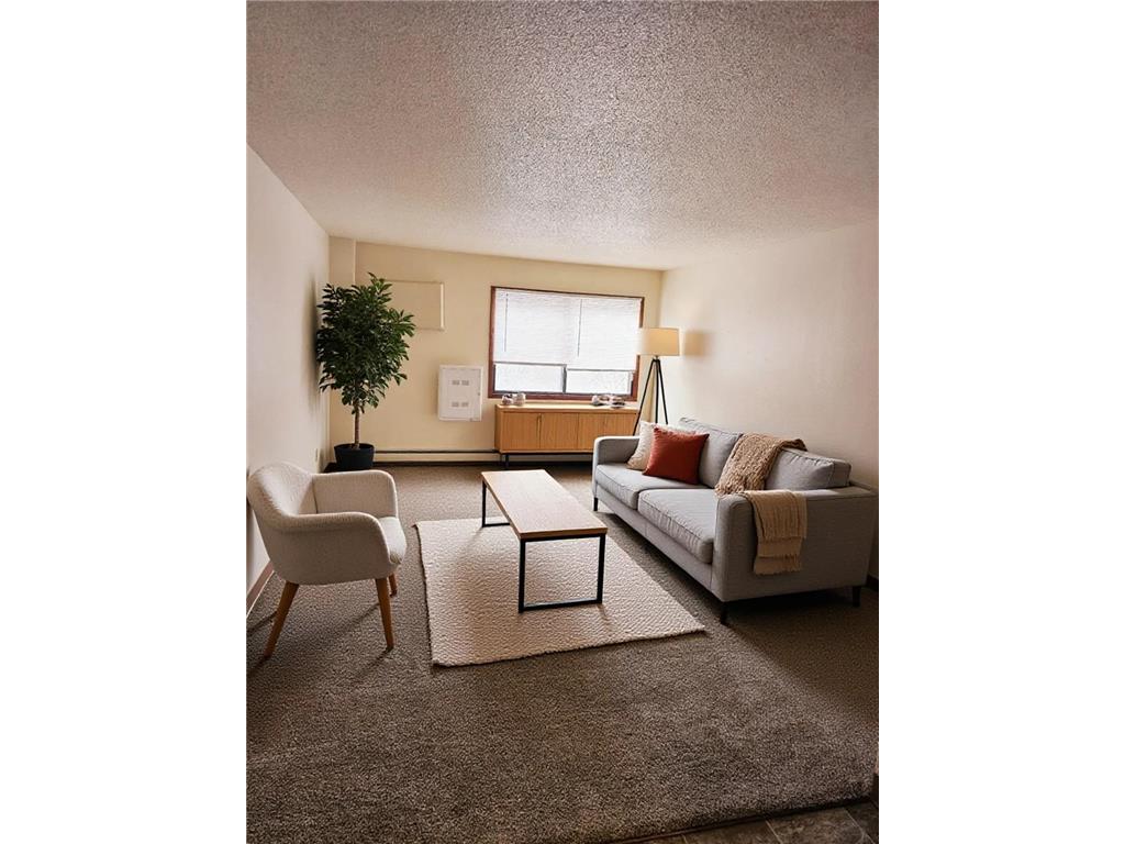 528 N Grant Street #206 Blue Earth MN 56013 6816478 image5