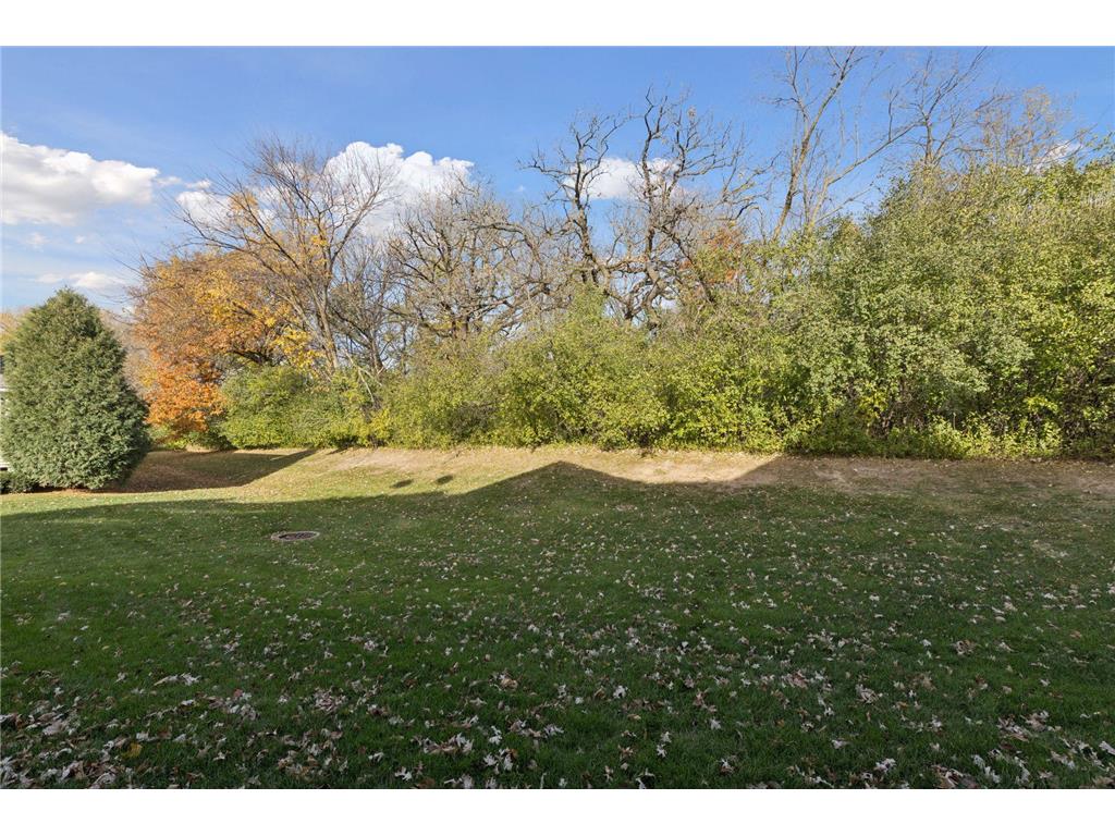 528 Sutherland Drive Woodbury MN 55129 6815994 image48