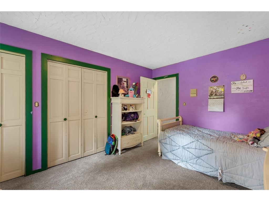 52940 Minnewaukon Drive, Belgrade Twp, MN, 56003 MLS 6505594 Edina