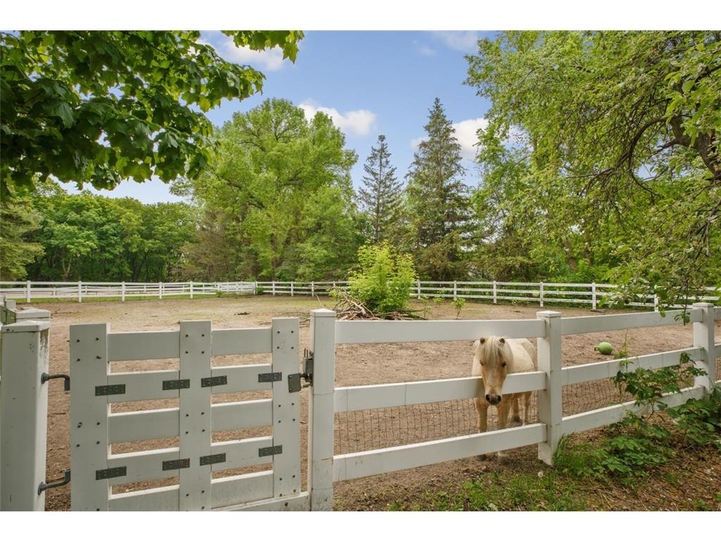 52940 Minnewaukon Drive, Belgrade Twp, MN, 56003 MLS 6505594 Edina