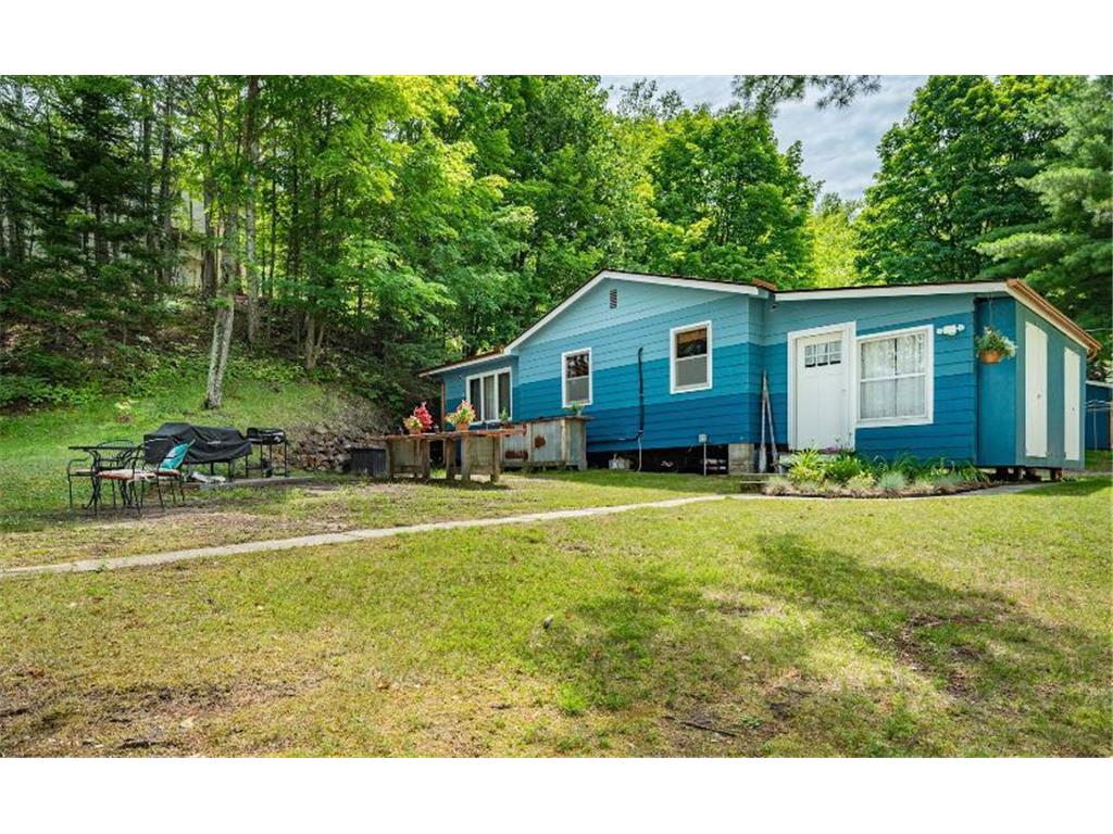 52994 Turtle Lake View Road, Bigfork, MN 56657 MLS 6409914 Edina