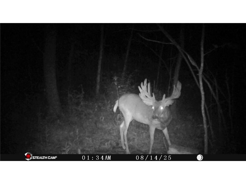 530 335th Avenue Frederic WI 54837 6720424 image1