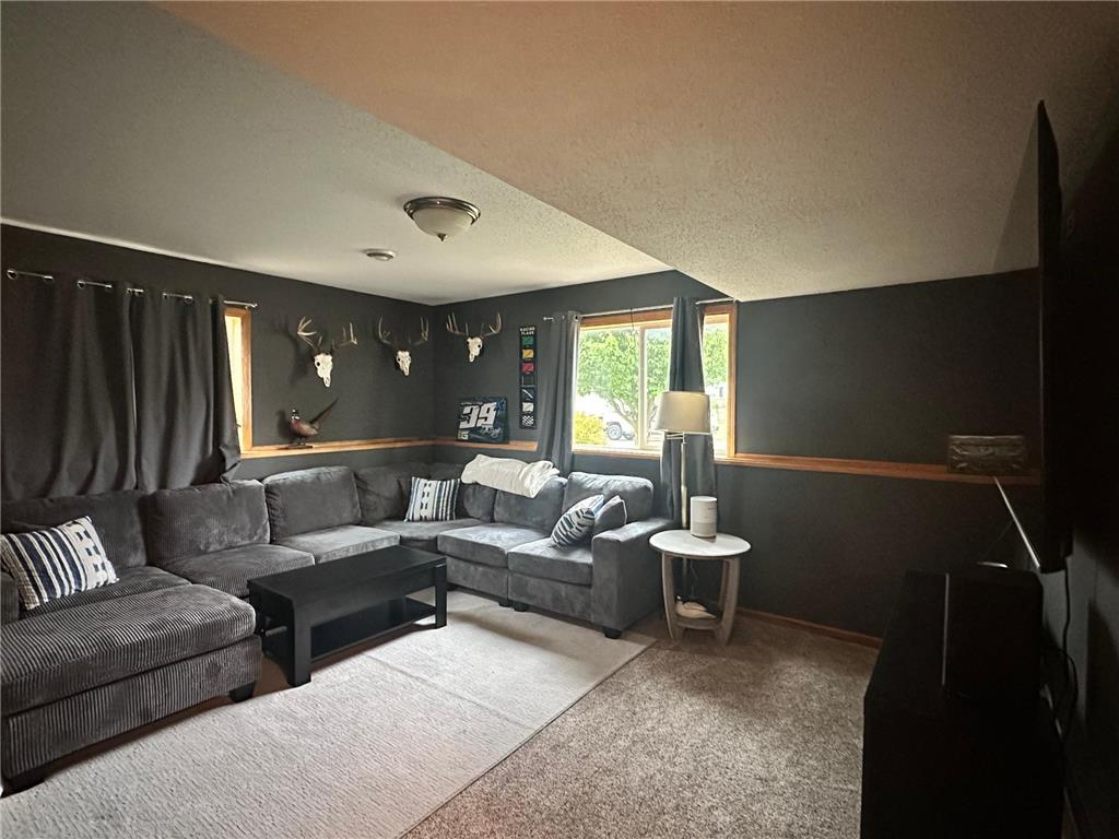530 7th Street SW Pine Island MN 55963 7074854 image13