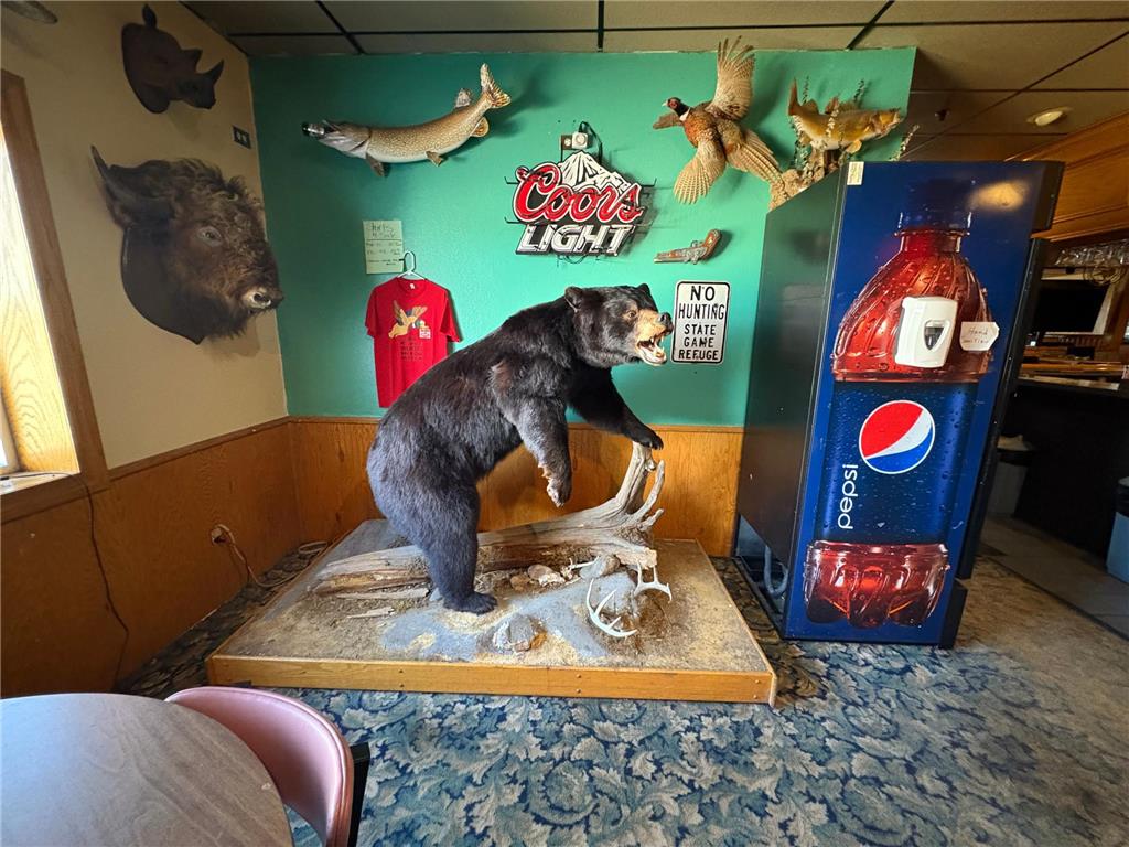 530 Christenson Avenue Appleton MN 56208 6809737 image8