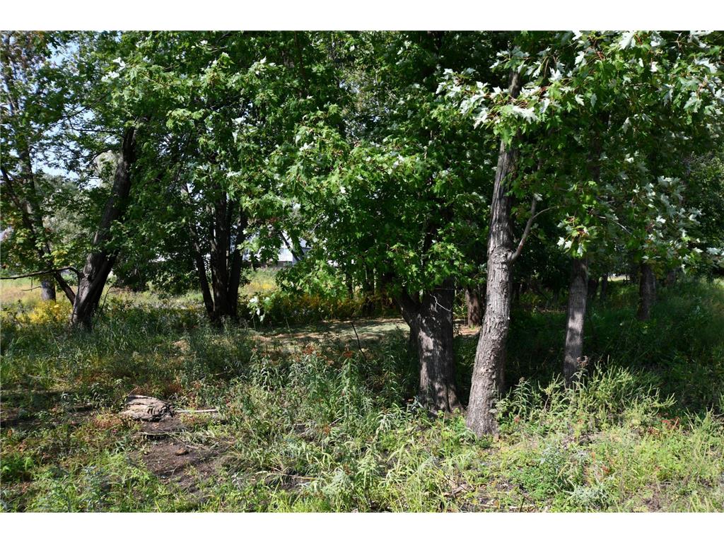 530 Lakeside Bay Drive S Bayport MN 55003 - St Croix River 6823068 image21