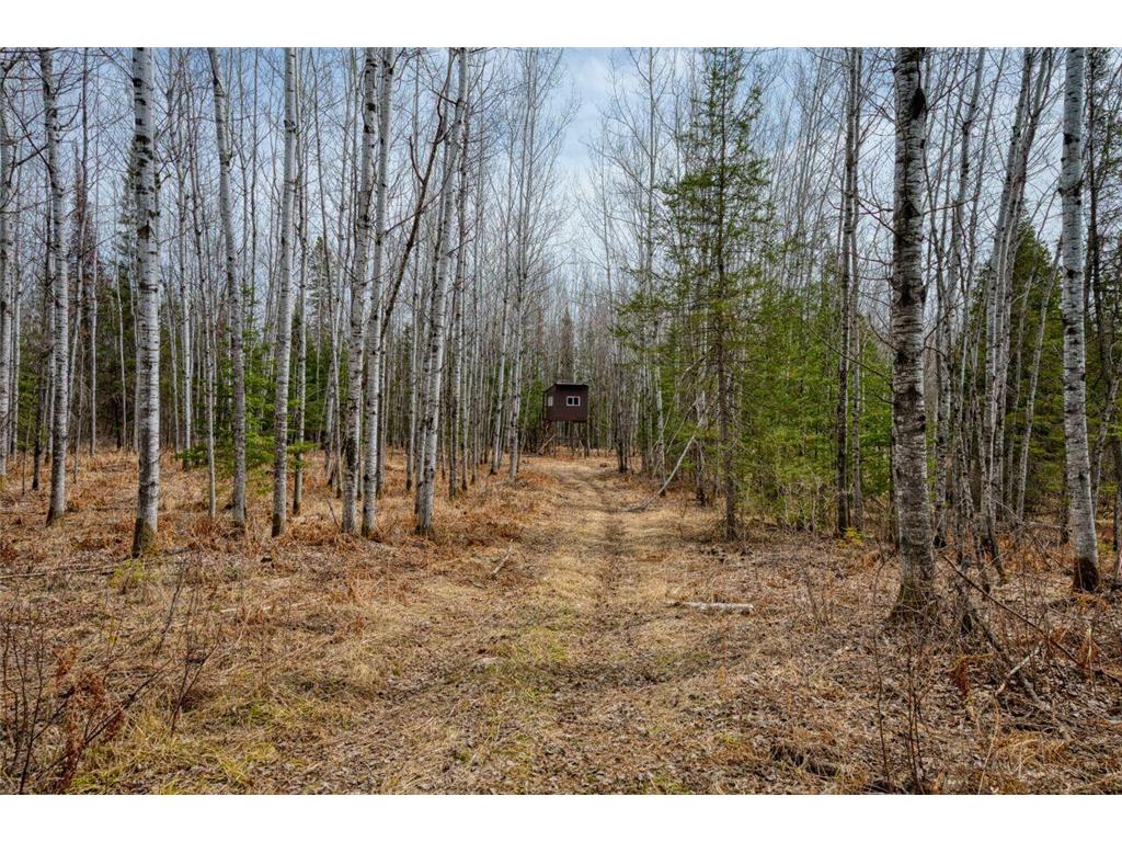 5303 Markham Road Colvin Twp MN 55763 6709300 image22