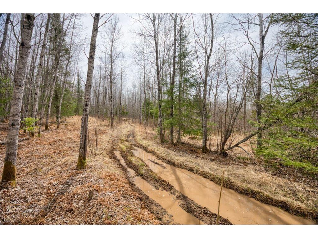 5303 Markham Road Colvin Twp MN 55763 6709300 image26