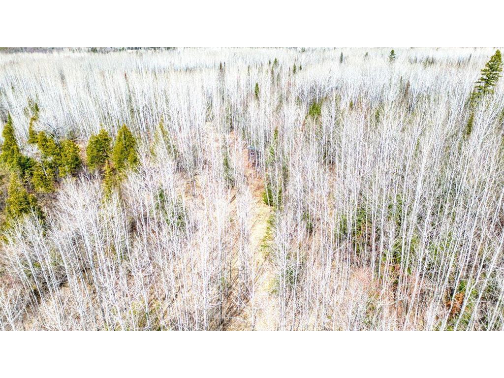 5303 Markham Road Colvin Twp MN 55763 6709300 image31