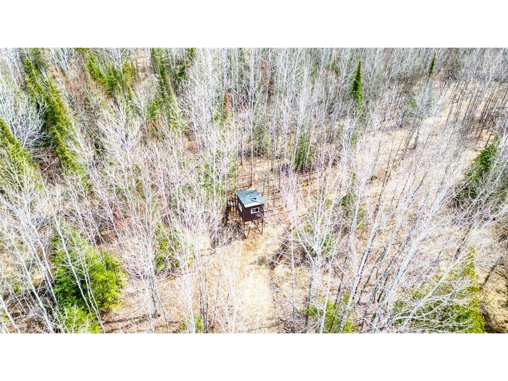 5303 Markham Road Colvin Twp MN 55763 6709300 image32