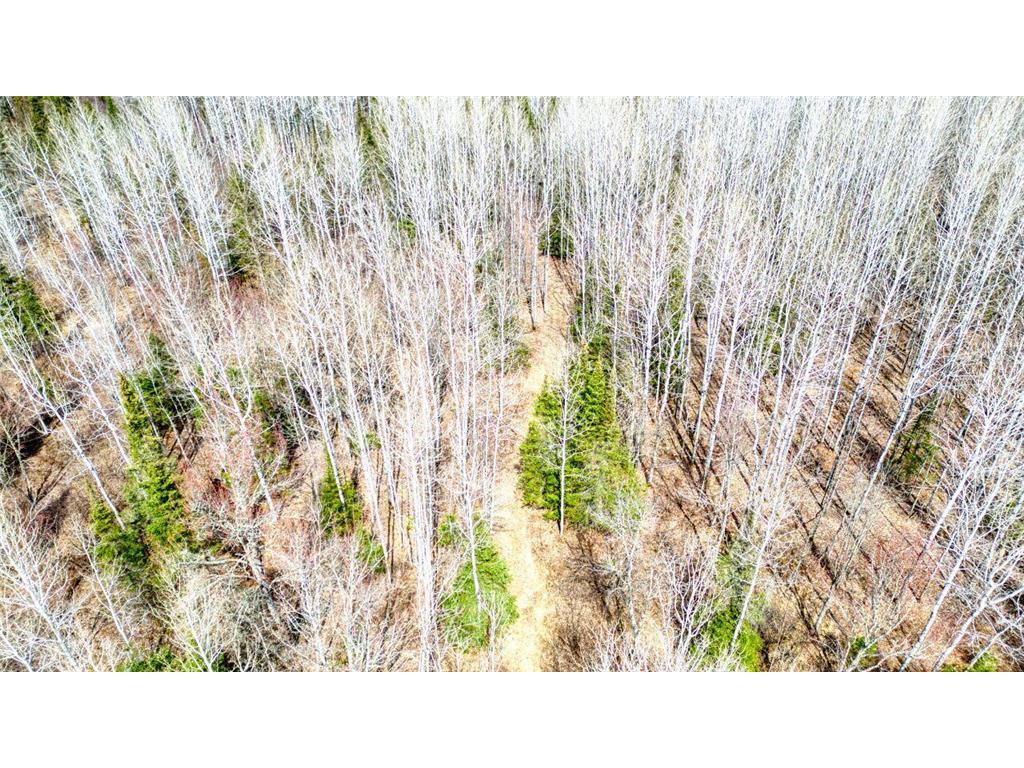 5303 Markham Road Colvin Twp MN 55763 6709300 image35