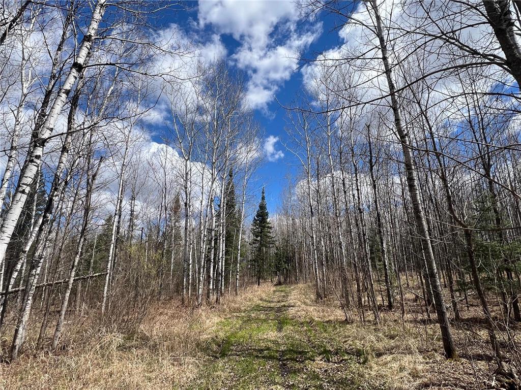 5303 Markham Road Makinen MN 55763 7075474 image11