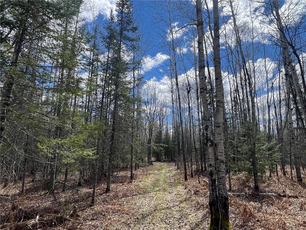 5303 Markham Road Makinen MN 55763 7075474 image12