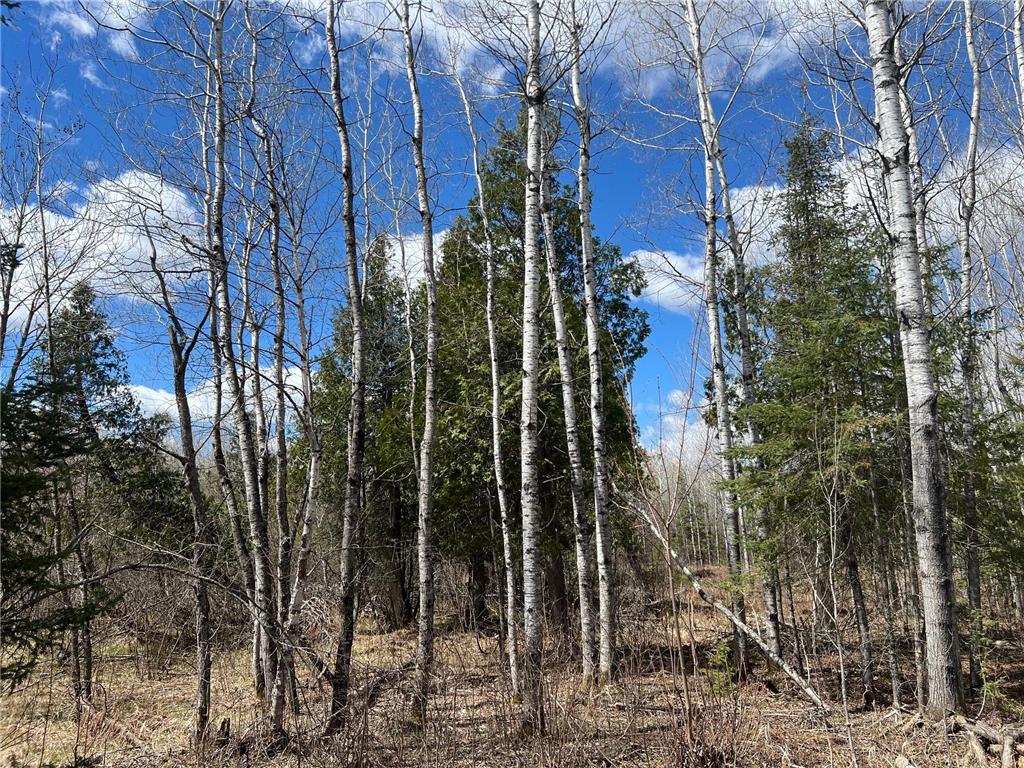 5303 Markham Road Makinen MN 55763 7075474 image17