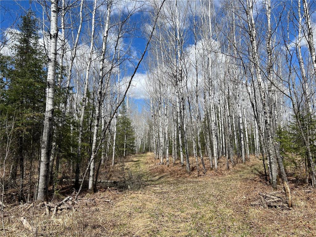 5303 Markham Road Makinen MN 55763 7075474 image18