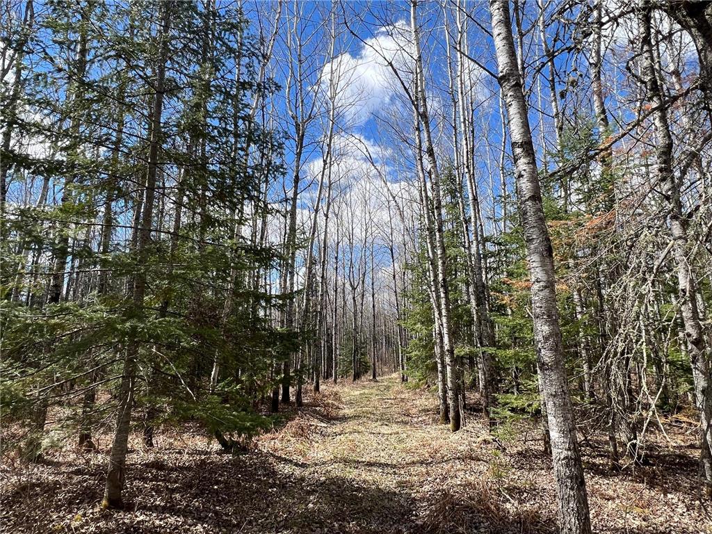 5303 Markham Road Makinen MN 55763 7075474 image19
