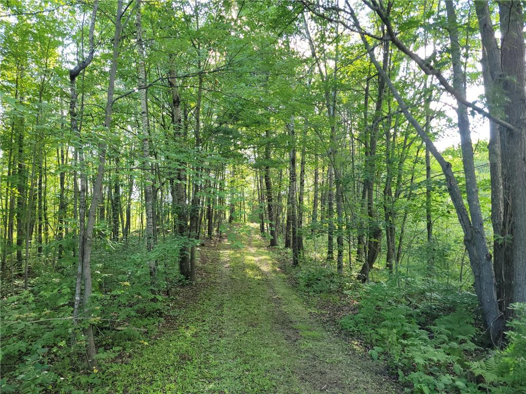 53065 Sjodahl Road Sandstone MN 55072 6572596 image1