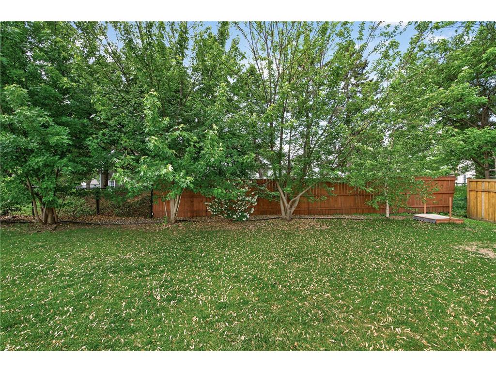 532 Aidan Cove Eagan MN 55123 7080381 image50