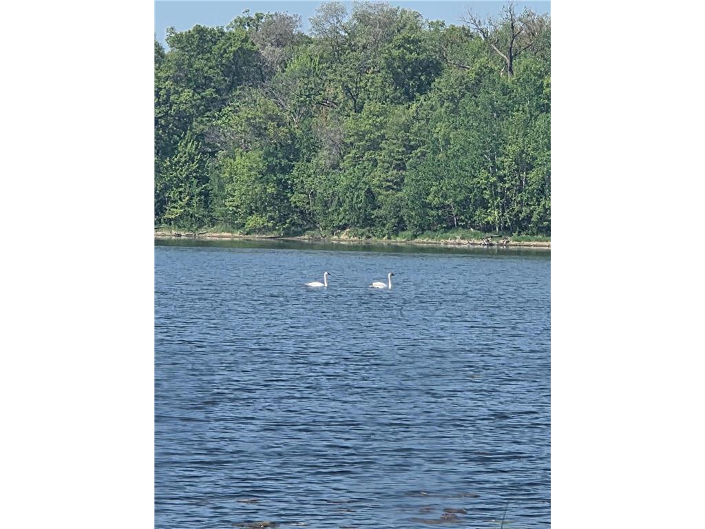 5325 Fernwood Trail North Branch MN 55056 - Chain Lake 7086552 image45