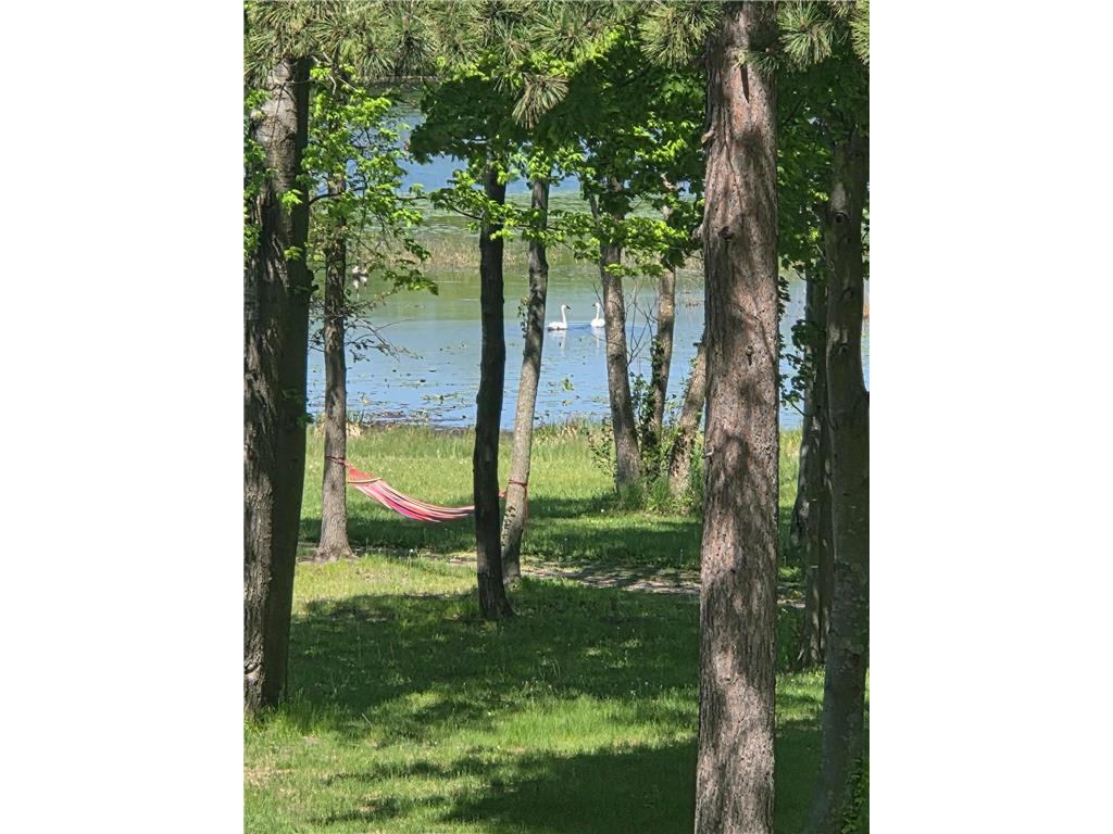 5325 Fernwood Trail North Branch MN 55056 - Chain Lake 7086552 image46