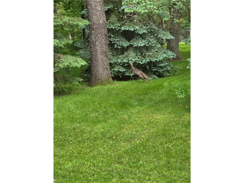 5325 Fernwood Trail North Branch MN 55056 - Chain Lake 7086552 image47