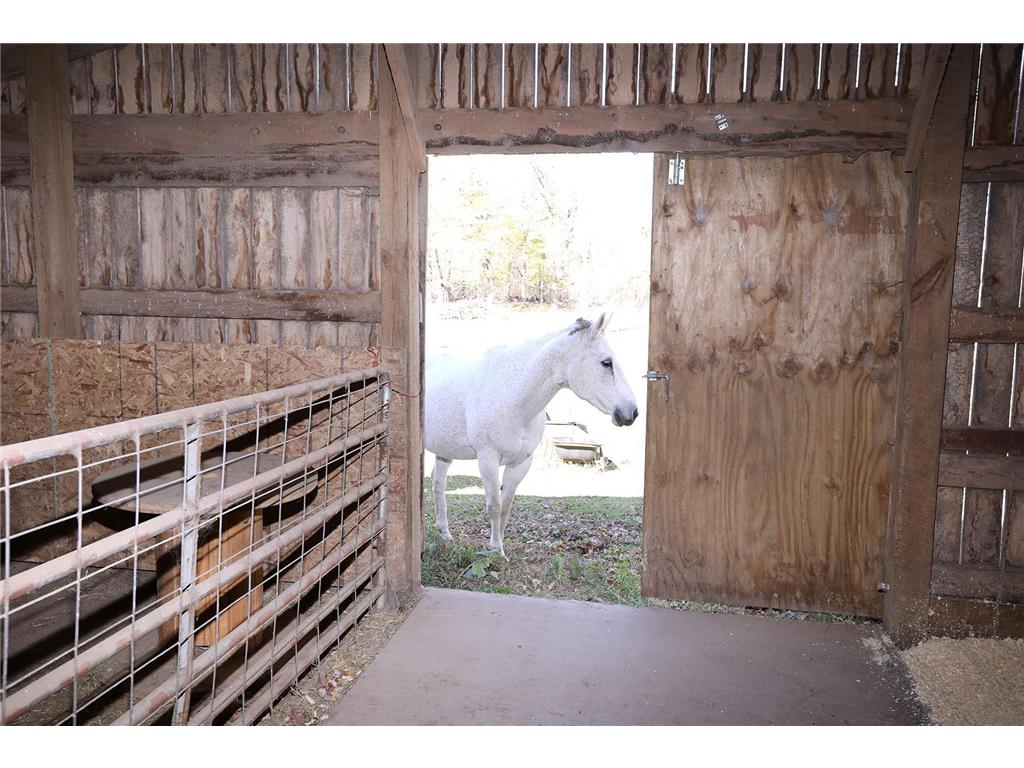 53253 W Grindstone Road Dell Grove Twp MN 55072 7028645 image18